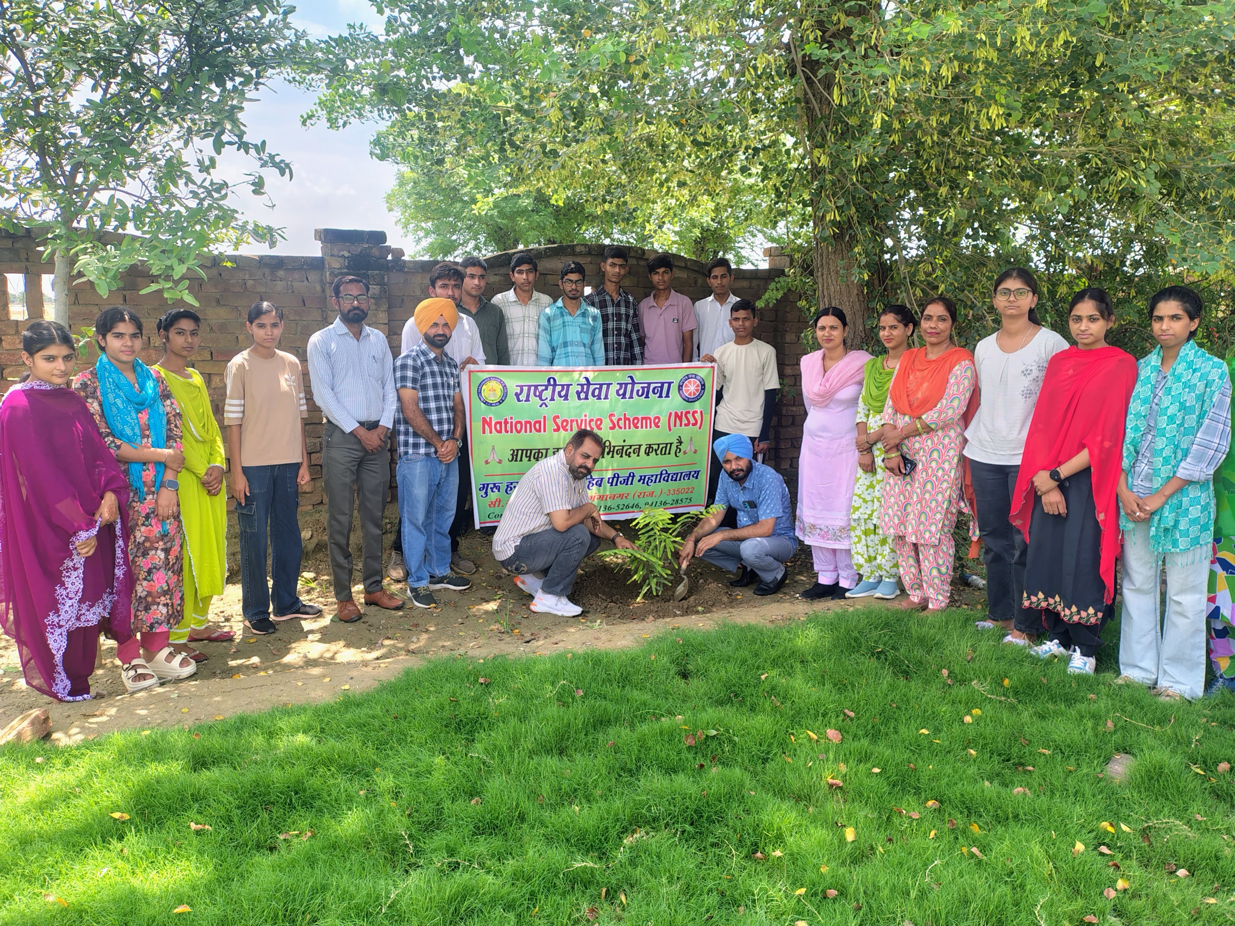 Tree Plantation Drive